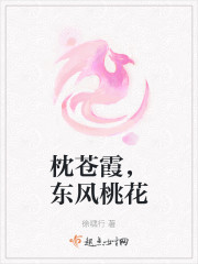 ˫壺ҵ츳ʮ